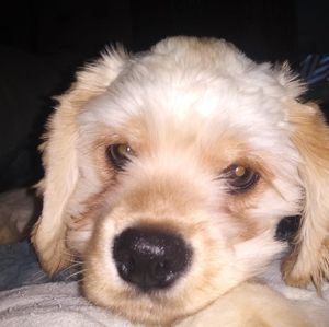 Meet your Posher, Nora